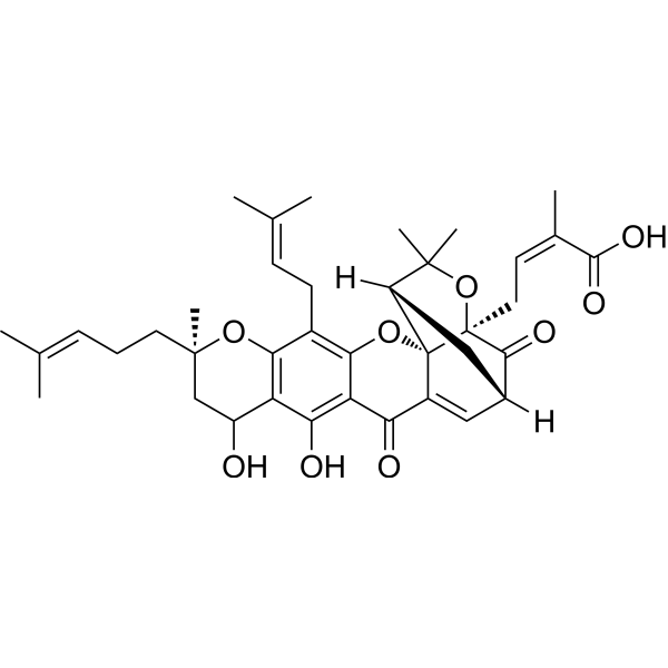 Neogambogic acidͼƬ