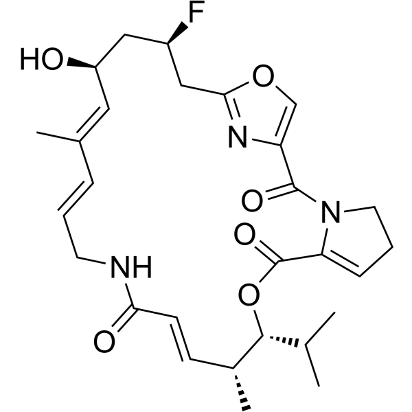 Mitochondrial respiration-IN-2ͼƬ