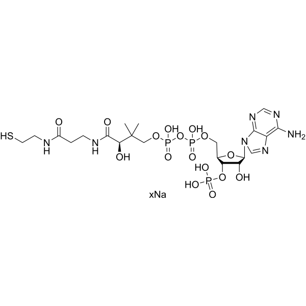 Coenzyme A sodium图片