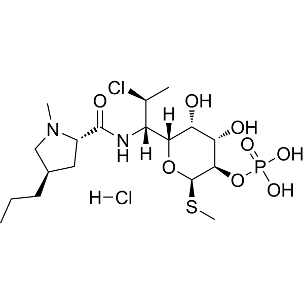 Clindamycin phosphate hydrochlorideͼƬ