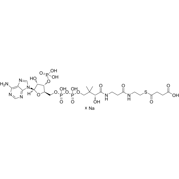 Succinyl-Coenzyme A sodiumͼƬ