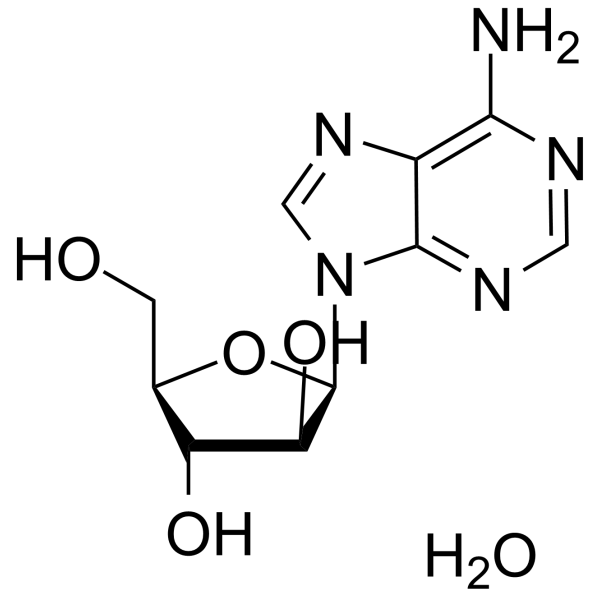 Vidarabine monohydrateͼƬ