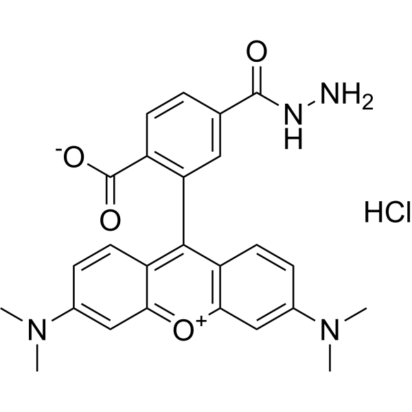 TAMRA hydrazide(6-isomer)ͼƬ