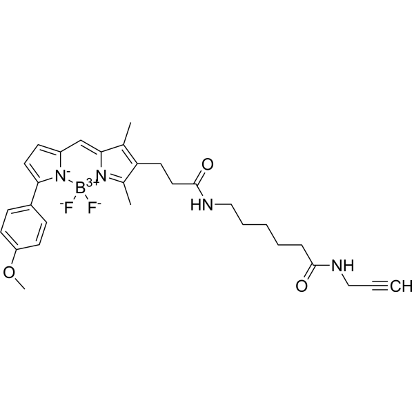 BODIPY TMR-X alkyneͼƬ