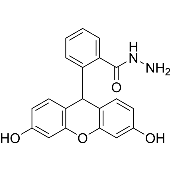 Fluorescein hydrazideͼƬ