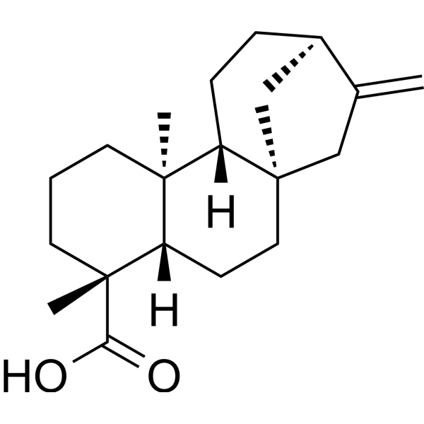 Kaurenoic acid图片