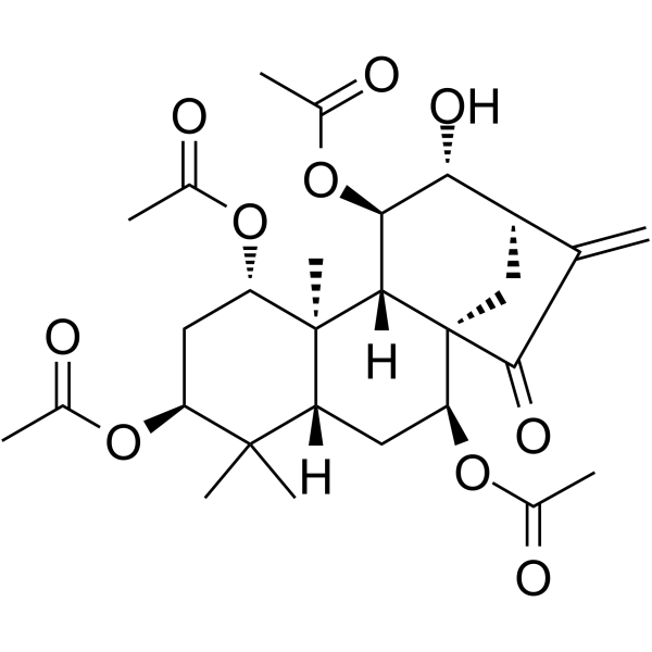 BulleyaninͼƬ