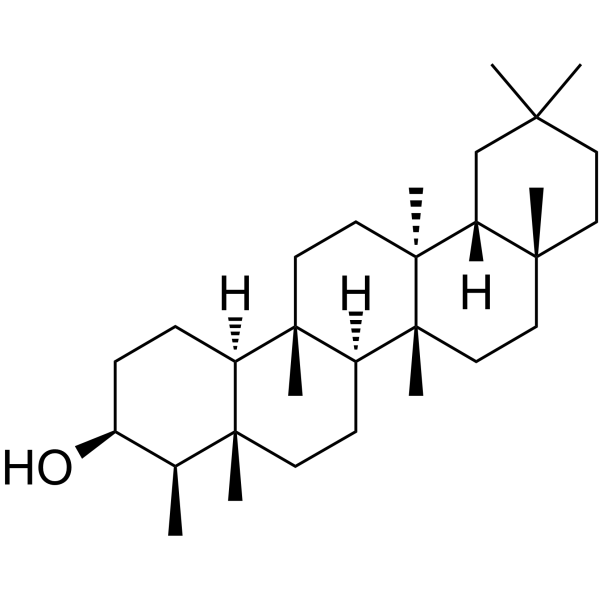 EpifriedelanolͼƬ