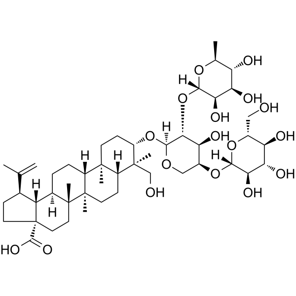 Lup-20(29)-en-28-oic acidͼƬ