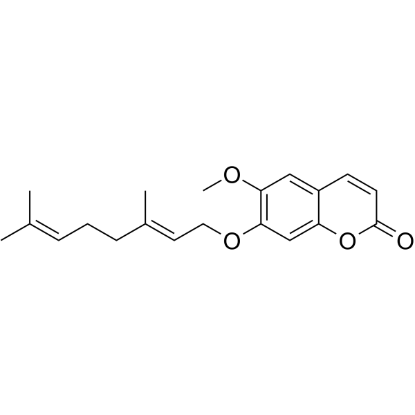 7-O-GeranylscopoletinͼƬ
