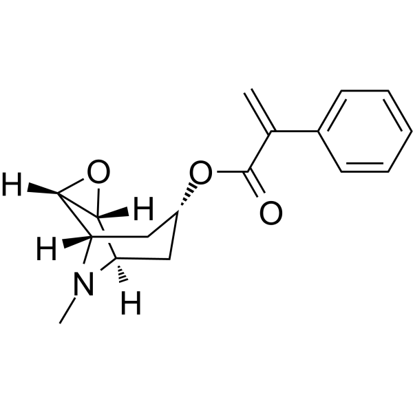 AposcopolamineͼƬ