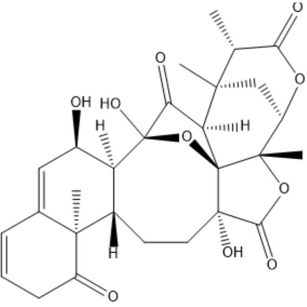 Physalin LͼƬ