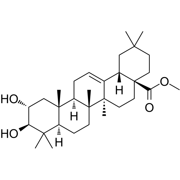 Methyl maslinateͼƬ