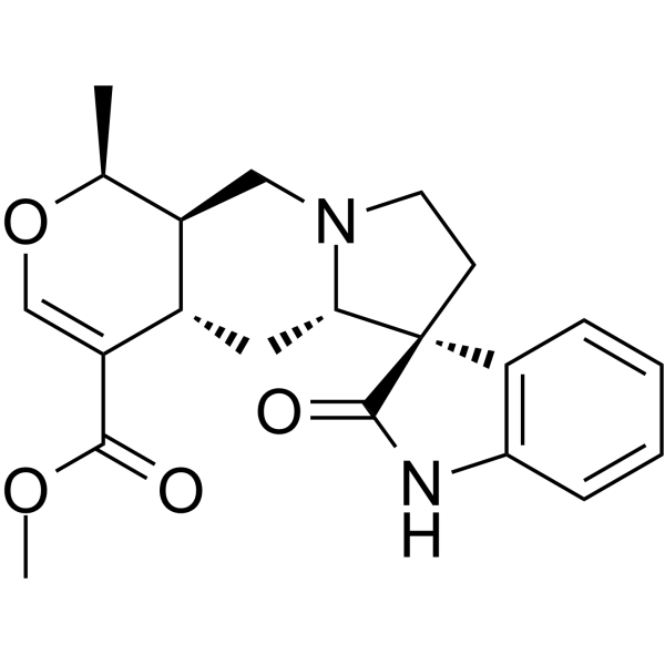 IsomitraphyllineͼƬ