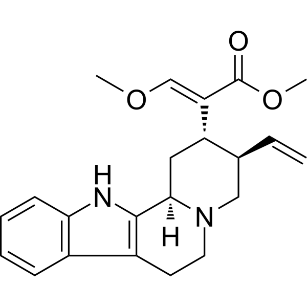 HirsuteineͼƬ