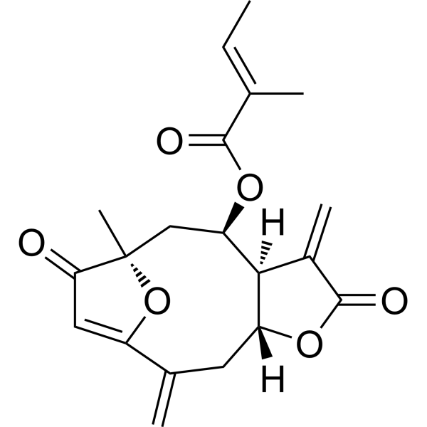 Isoatriplicolide tiglateͼƬ