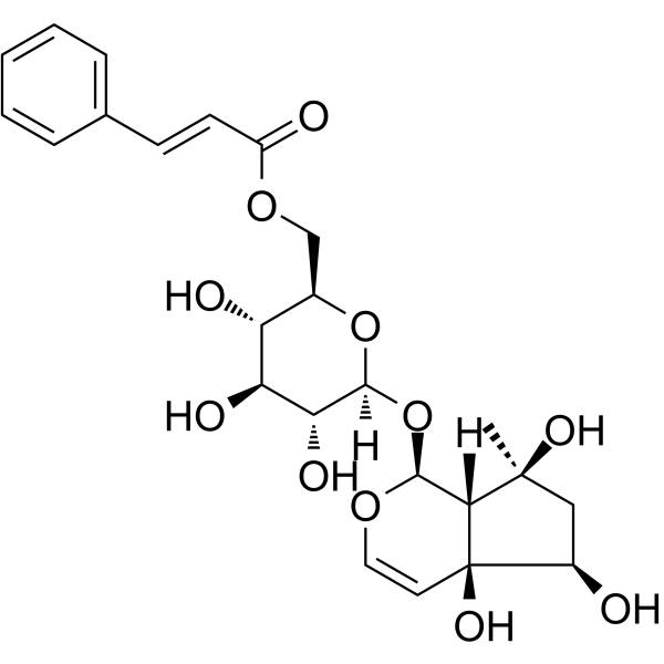 6'-O-Cinnamoyl harpagideͼƬ