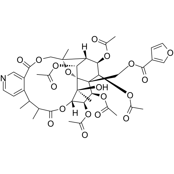 Hypoglaunine DͼƬ