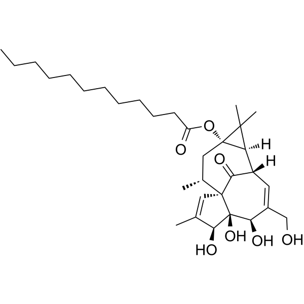 Dodecanoic acid ingenol esterͼƬ