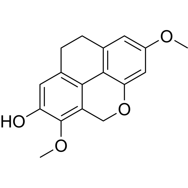 AgrostophyllidinͼƬ