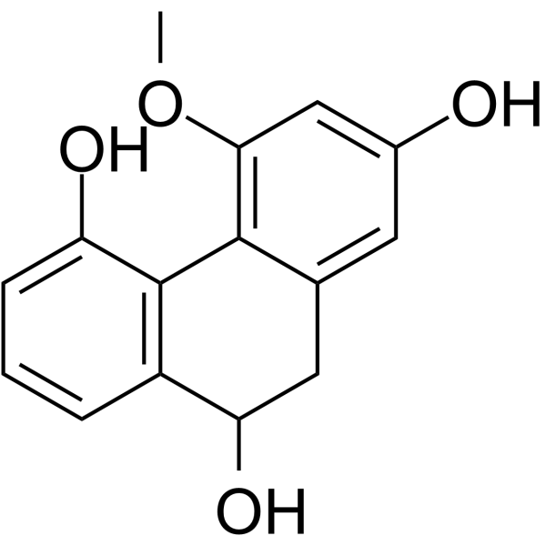 RotundatinͼƬ