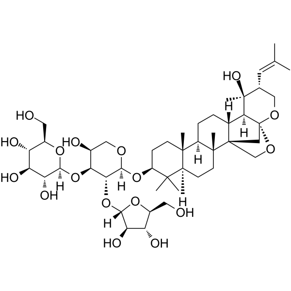 Bacopasaponin CͼƬ