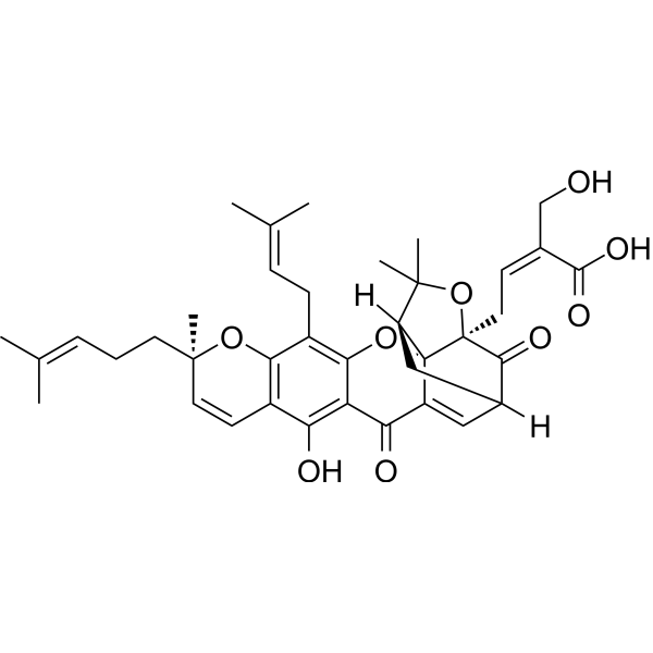 R-30-Hydroxygambogic acidͼƬ