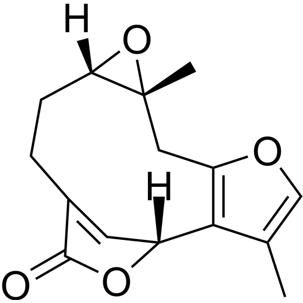 PseudoneolinderaneͼƬ