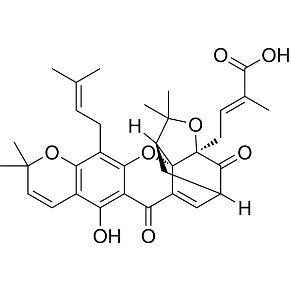 Isomorellic acidͼƬ