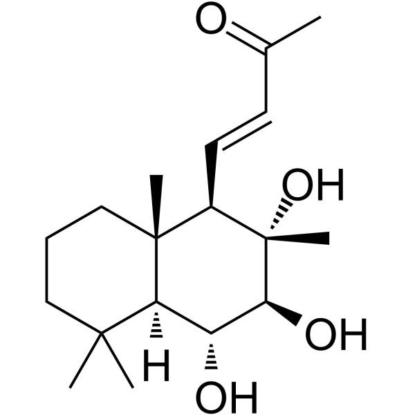 Sterebin AͼƬ