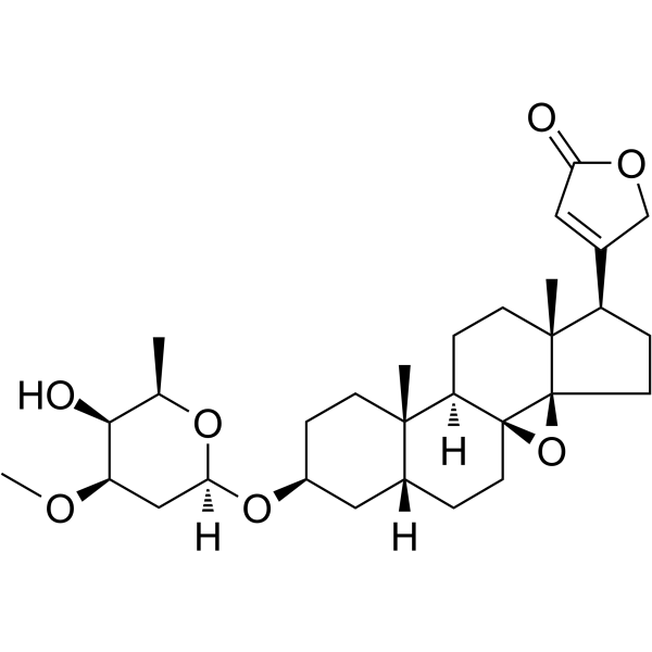 AdynerinͼƬ