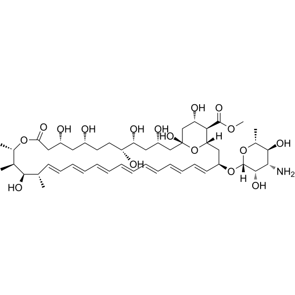 Amphotericin B methyl esterͼƬ