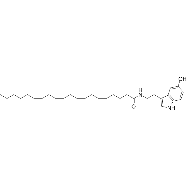 N-ArachidonoylserotoninͼƬ