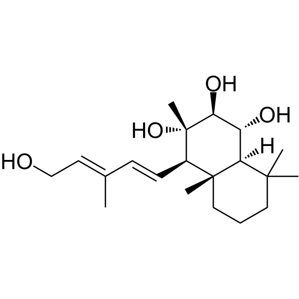 Sterebin EͼƬ