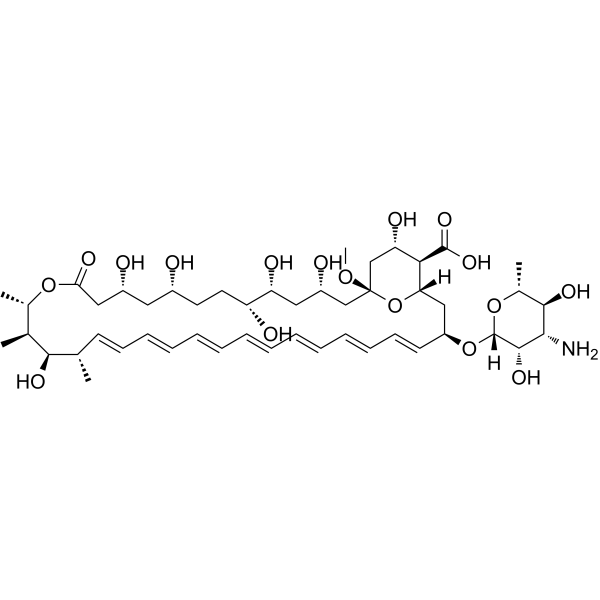 Amphotericin X1ͼƬ