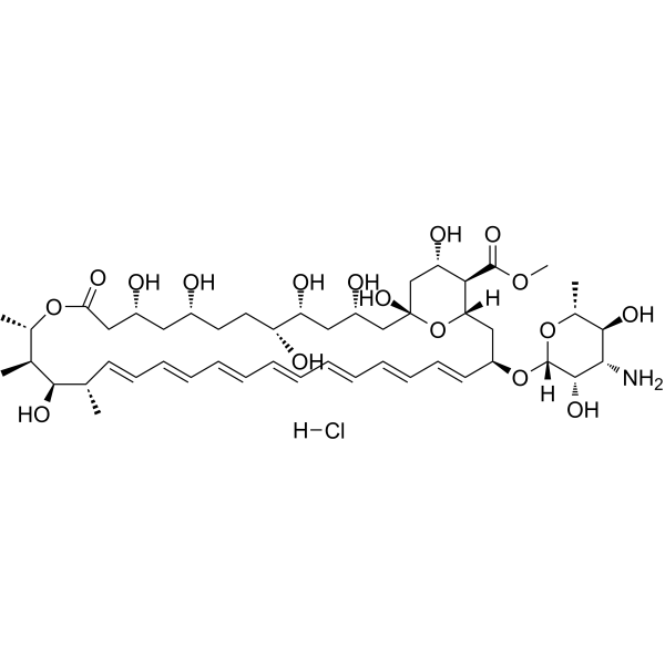 Amphotericin B methyl ester hydrochlorideͼƬ