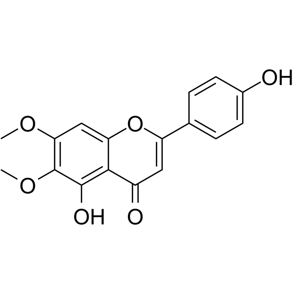 CirsimaritinͼƬ