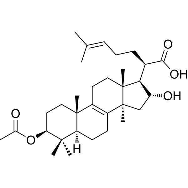 3-O-Acetyl-16-hydroxytrametenolic acidͼƬ