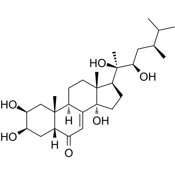 Polyporusterone AͼƬ