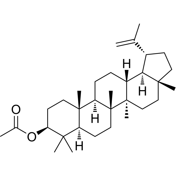 Lupeol acetateͼƬ