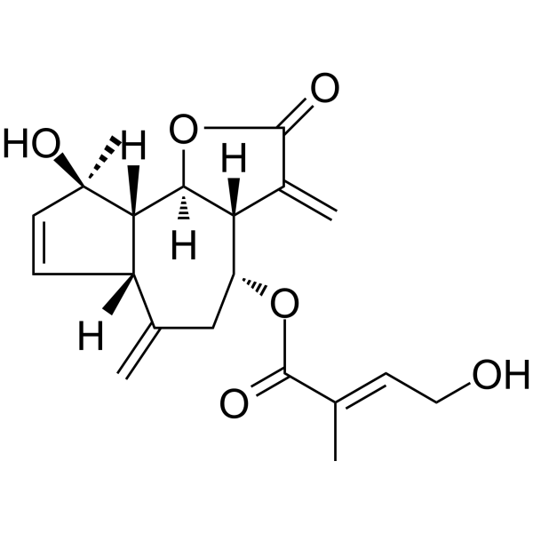 Eupalinilide BͼƬ