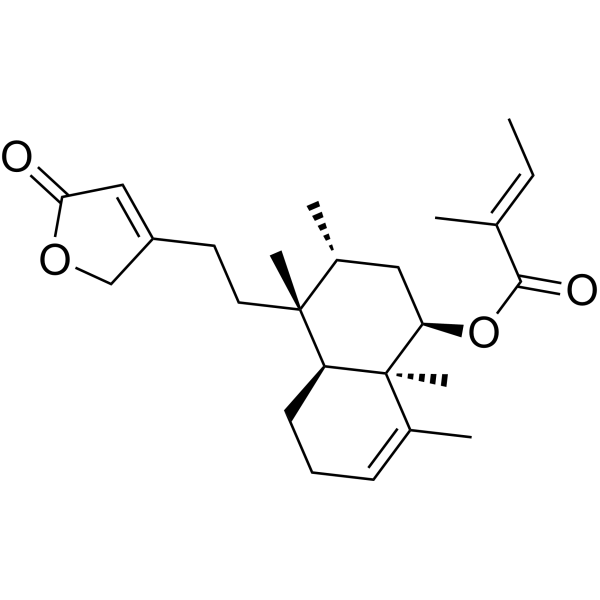 Solidagolactone IIIͼƬ