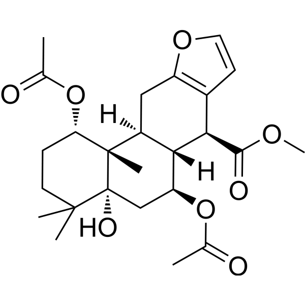 7-Acetoxybonducellpin CͼƬ