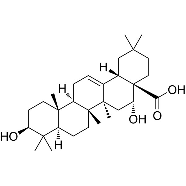 Echinocystic acidͼƬ