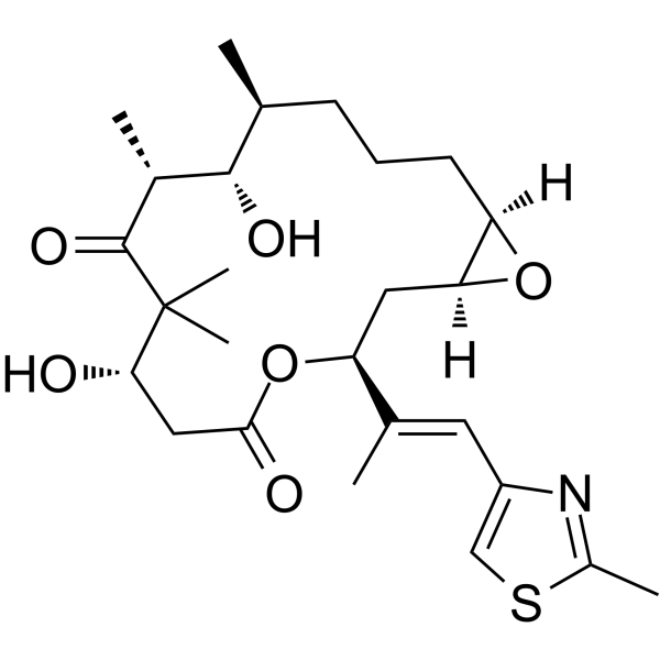 Epothilone AͼƬ