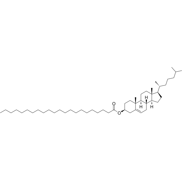 Cholesteryl BehenateͼƬ