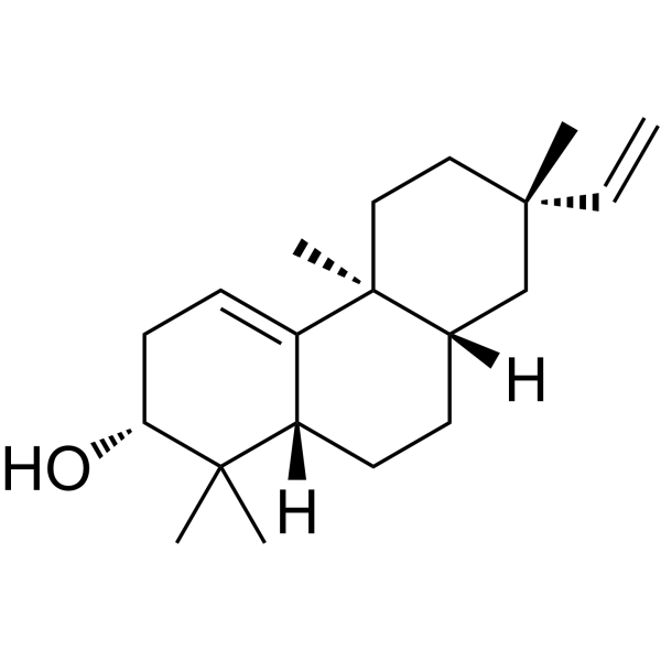 Euphebracteolatin BͼƬ