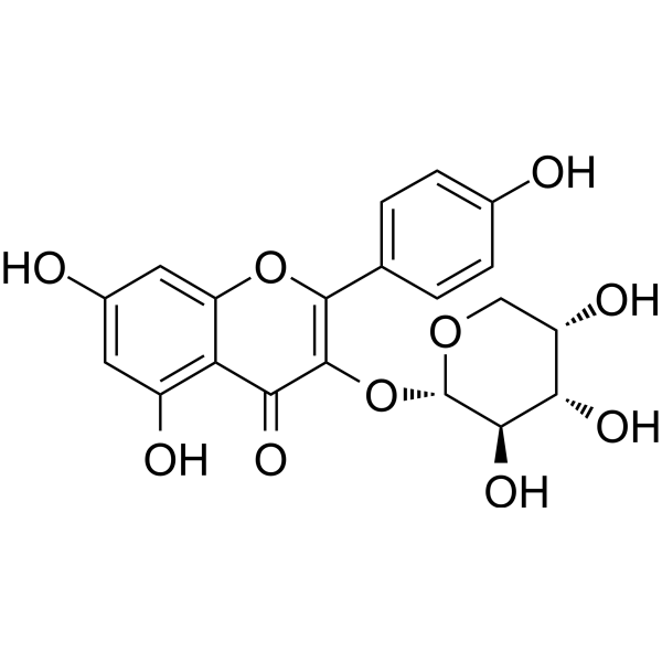 Kaempferol 3-O-arabinosideͼƬ