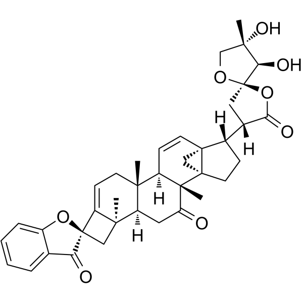 Phainanoid AͼƬ