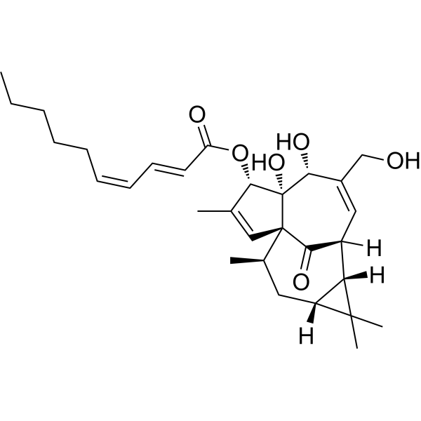 3-O-(2'E,4'Z-Decadienoyl)ingenolͼƬ